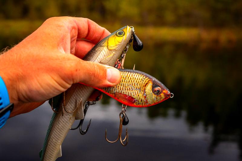 Naturalne przynęty na ryby