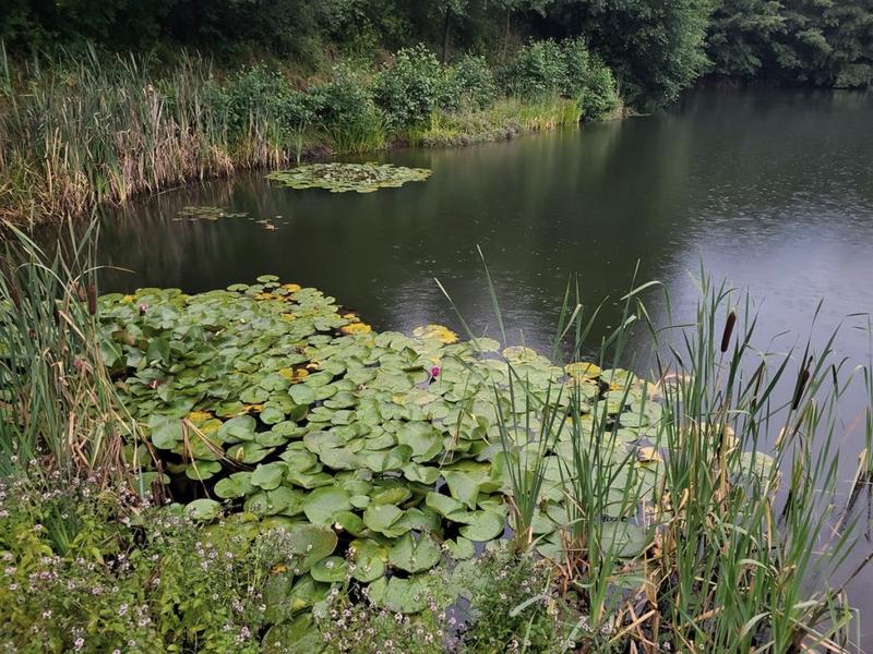 Noclegi dla wędkarzy