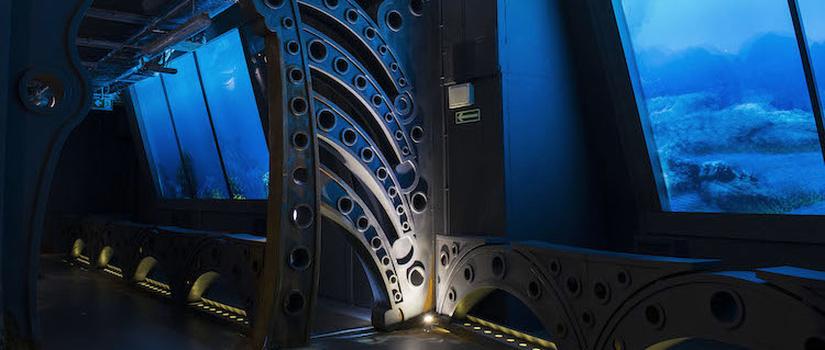 Oceanarium 3D w Warszawie