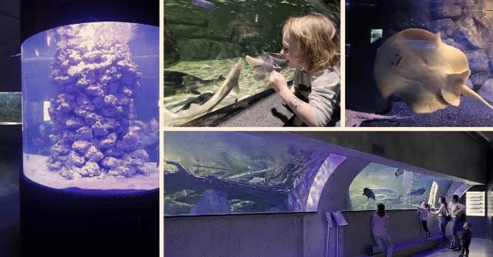 Oceanarium Świnoujście