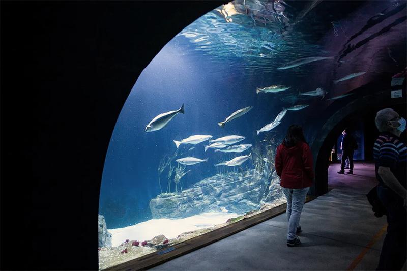 Oceanarium Szczecin