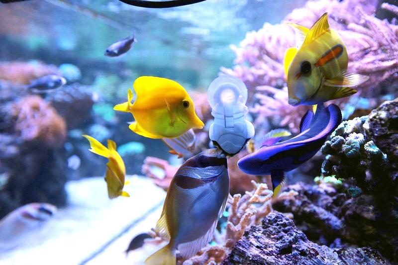 Oceanarium Zagnańsk