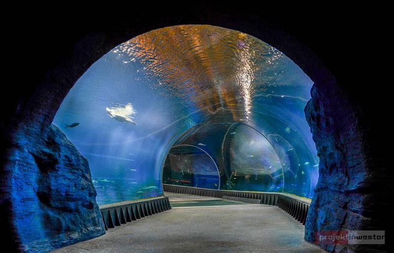 Oceanarium w Warszawie