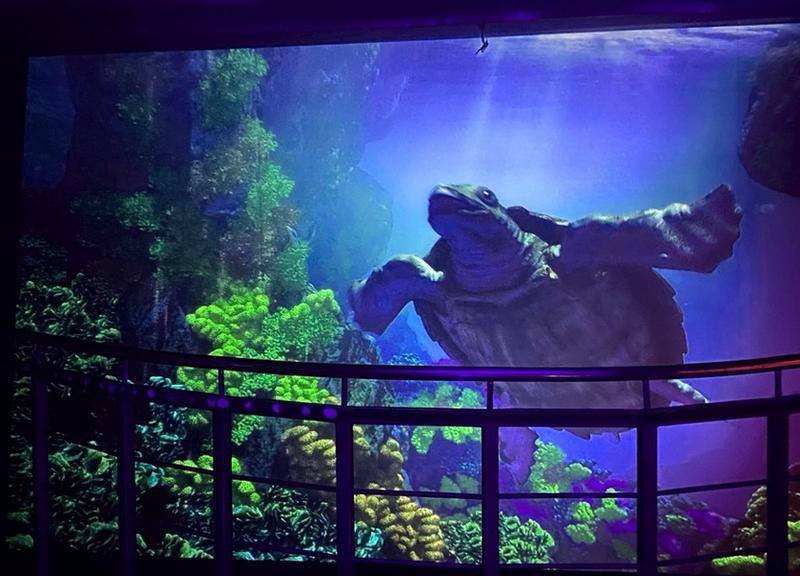 Opinie odwiedzających Oceanarium