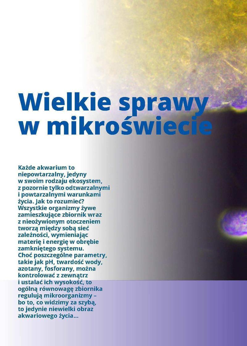 Organizmy do akwarium