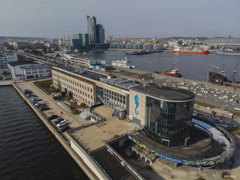 Podwodny świat Gdyni