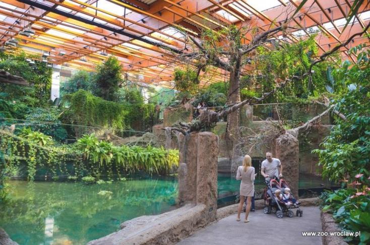 Praktyczne porady wizyty