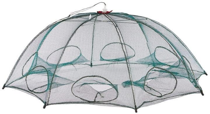 Prawne aspekty pułapek na ryby