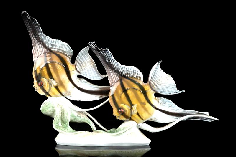 Przygotowanie akwarium dla skalara