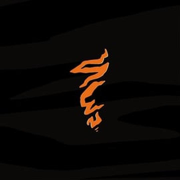 Rozmnażanie kangurów