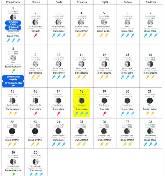 Skuteczne łowienie ryb