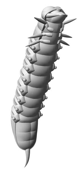 Skuteczne łowienie ryb