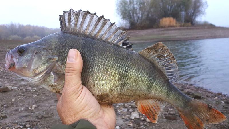 Spinning dla początkujących