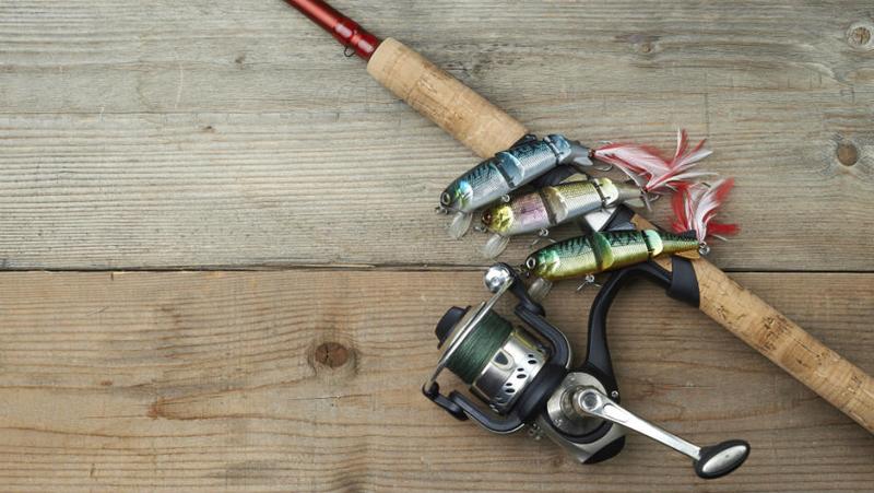 Sprzęt wędkarski dla początkujących