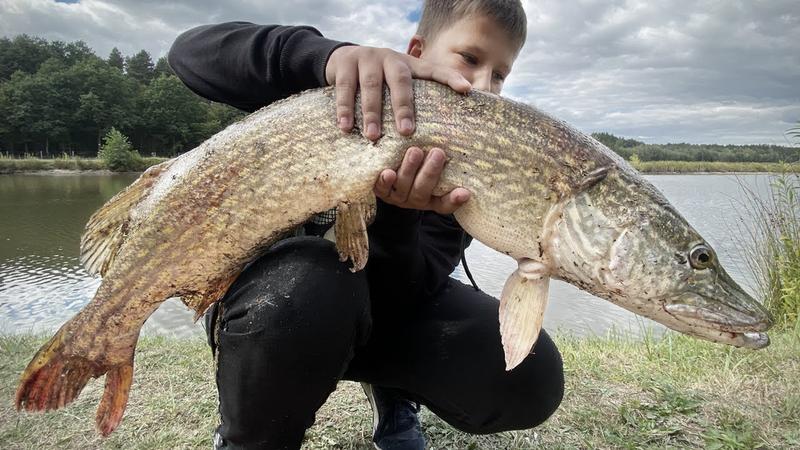 Wybór przynęty spinningowej