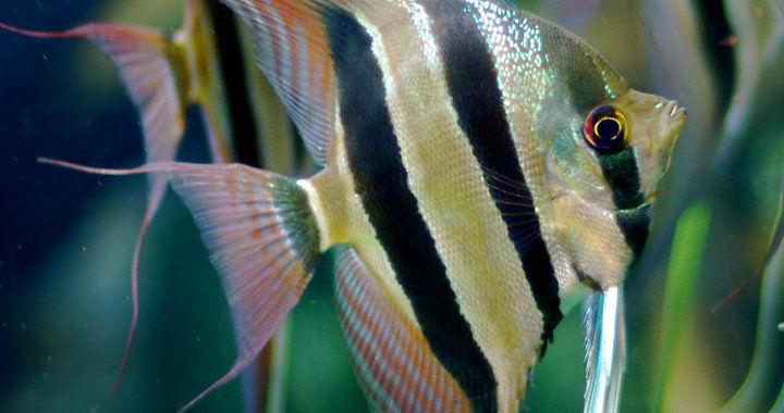 Zakupy w sklepach internetowych