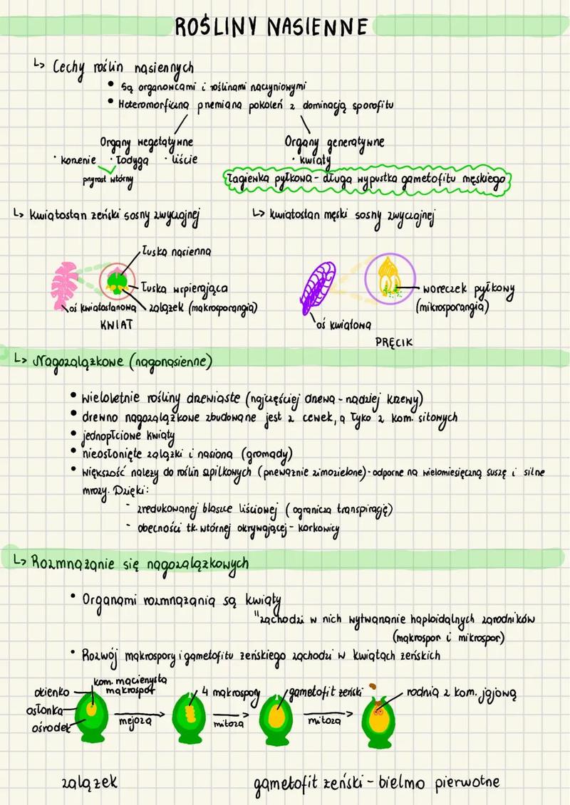 Zapłodnienie roślin