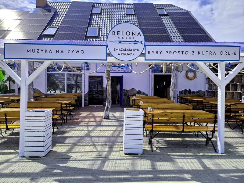 Zdrowe przepisy rybne