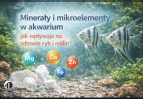 Zdrowie ryb w akwarium