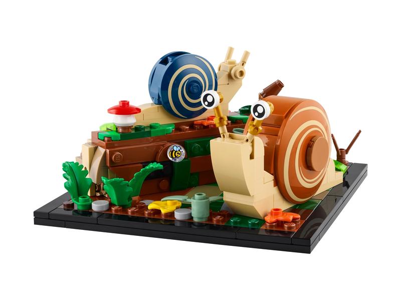 Życie intymne ślimaków