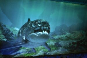 Co warto wiedzieć o Oceanarium 3D w Warszawie? Nieaktualne informacje o atrakcji