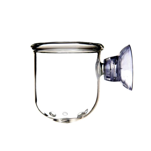 Ile razy dziennie karmić rybki, aby zapewnić im zdrowe życie?