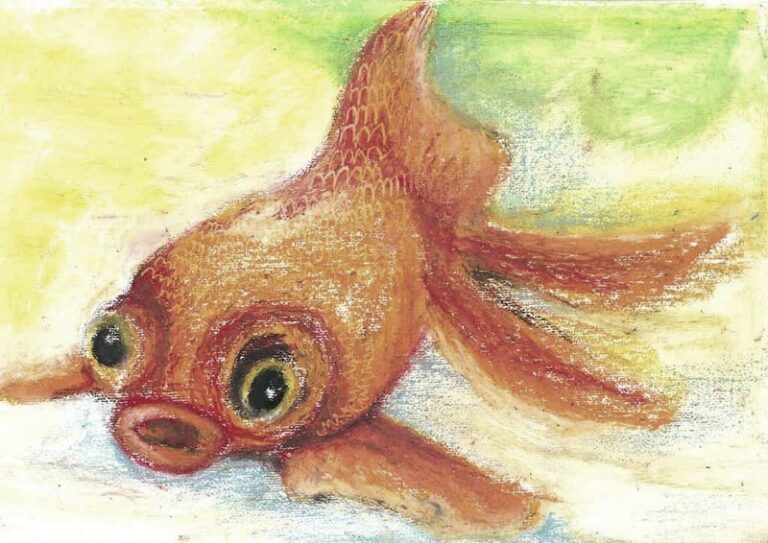 Jak wygląda złota rybka? Odkryj jej niezwykłe odmiany i fascynujące cechy