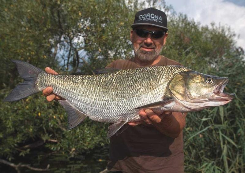 Jakie ryby na spinning? Najlepsze gatunki i skuteczne techniki łowienia