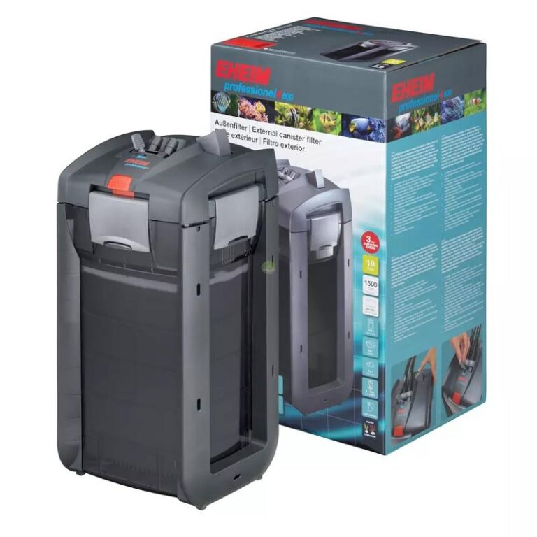 Kiedy i jak gasić światło w akwarium, by zdrowie ryb było na pierwszym miejscu?