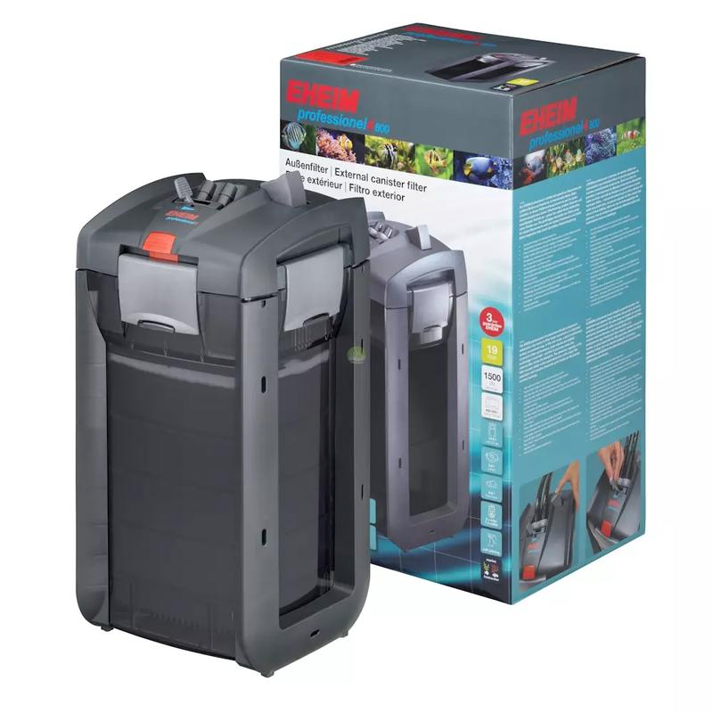 Kiedy i jak gasić światło w akwarium, by zdrowie ryb było na pierwszym miejscu?