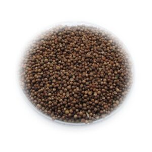 Kolendra na ryby: Skuteczne metody przyciągania w wodzie