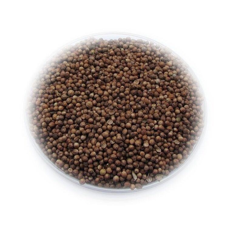 Kolendra na ryby: Skuteczne metody przyciągania w wodzie