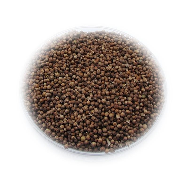 Kolendra na ryby: Skuteczne metody przyciągania w wodzie