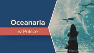 Największe oceanaria w Polsce – poznaj fascynujące atrakcje i tajemnice głębin