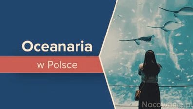 Największe oceanaria w Polsce – poznaj fascynujące atrakcje i tajemnice głębin