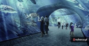 Nowe oceanarium w Katowicach: aktualny status budowy i co nas czeka w przyszłości