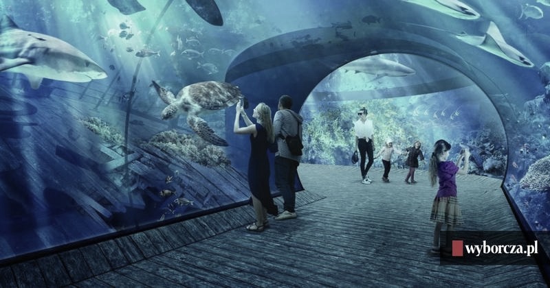 Nowe oceanarium w Katowicach: aktualny status budowy i co nas czeka w przyszłości