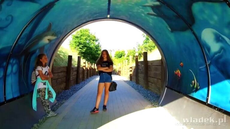 Oceanarium Władysławowo: Odkryj niezapomniane atrakcje i edukacyjne skarby morskiego świata