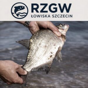 Odkryj idealną przystań wędkarską PZW w Szczecinie – przewodnik dla wędkarzy