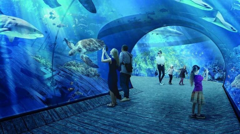 Odkryj magia oceanarium nad morzem: niezwykłe miejsca, które zachwycą każdego podróżnika
