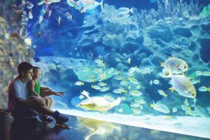 Odkryj tajemnice Oceanarium Zagnańsk – fascynujące gatunki i niezapomniane atrakcje czekają na Ciebie!