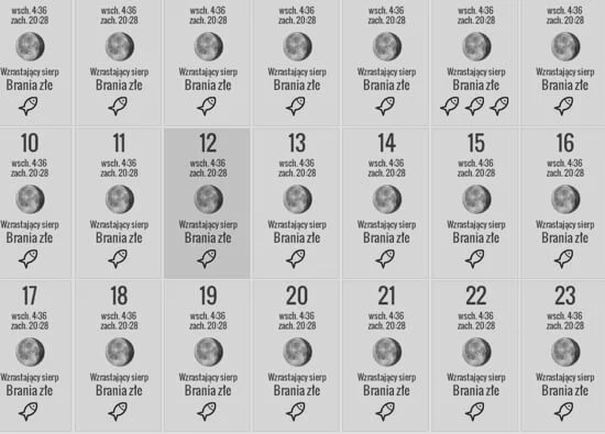 Sekrety skutecznego łowienia: Profesjonalny kalendarz brań na lipiec 2022