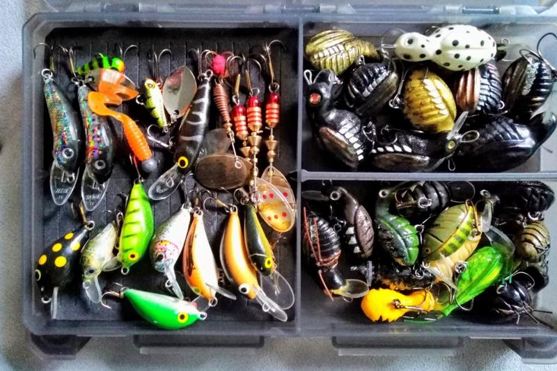 Skuteczne sposoby na łowienie kleniów na spinning – sprawdzone techniki i przynęty, które działają