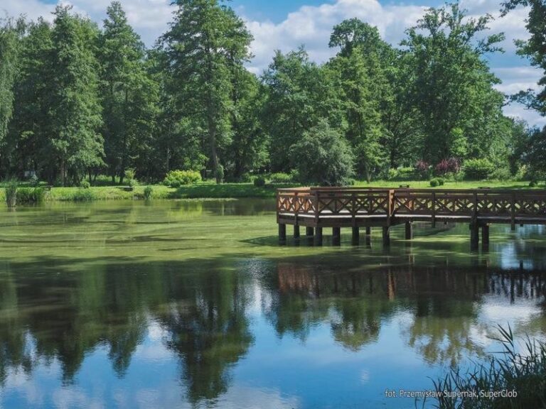 Stawy komercyjne Opolskie: Idealne łowiska karpiowe i rybne na weekendowy wypad
