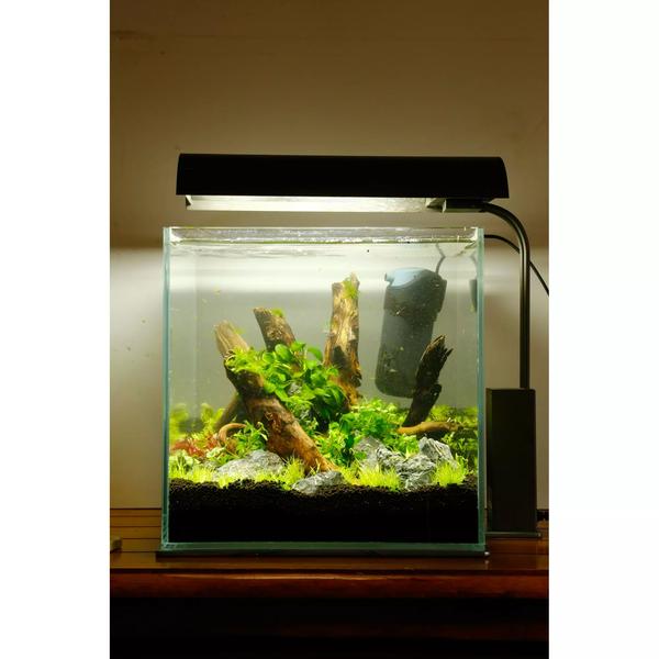 Akwarium 25l