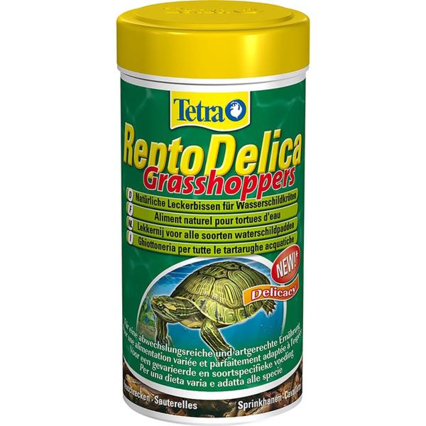 Dieta koników polnych