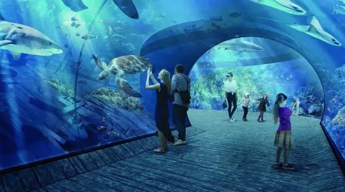 Godziny otwarcia Oceanarium