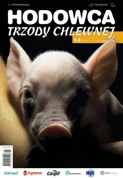 Innowacje w żywieniu świń
