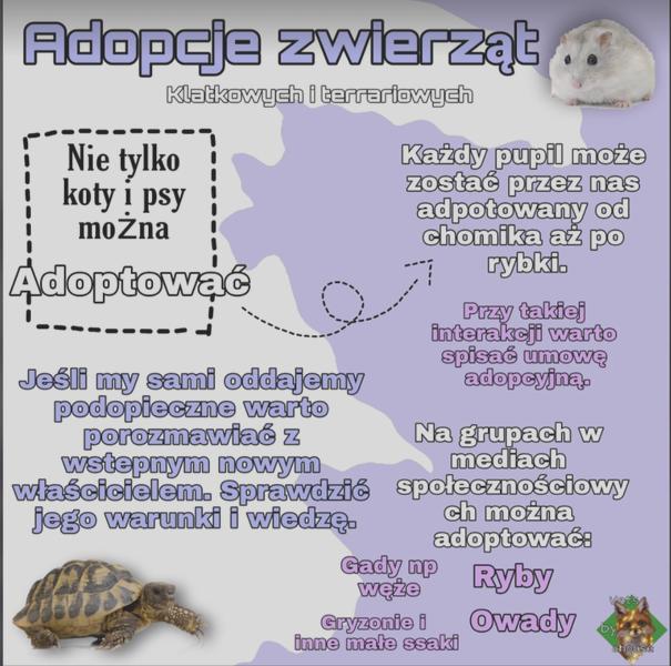Lokalne schroniska dla ryb
