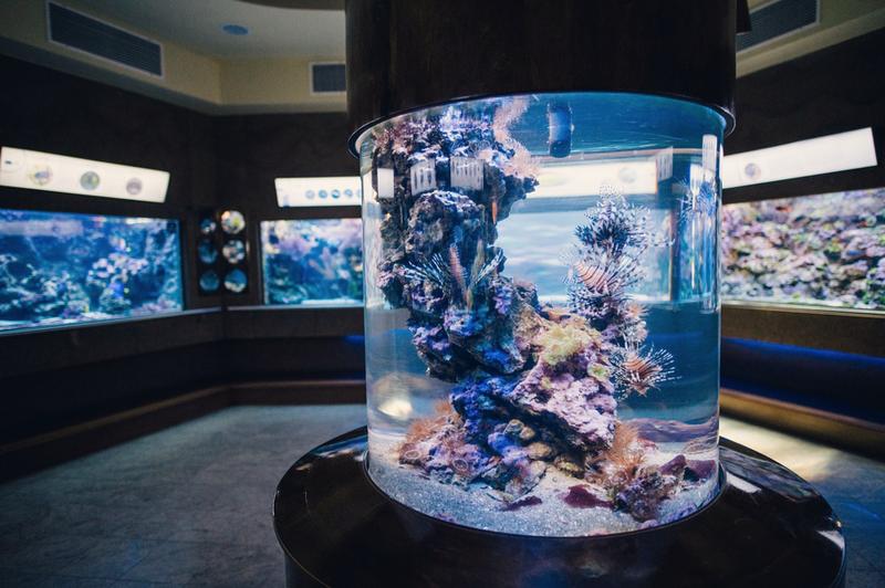 Oceanarium Sopot